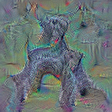 n02097047